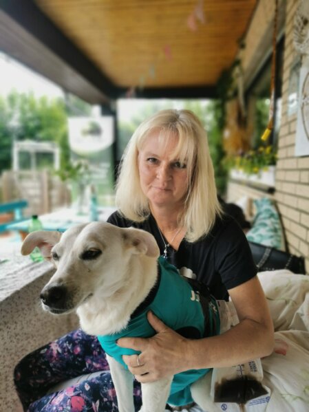 Engagierte Person streichelt einen geretteten Hund